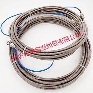 油罐用測(cè)溫電纜