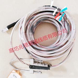 防水測(cè)溫電纜