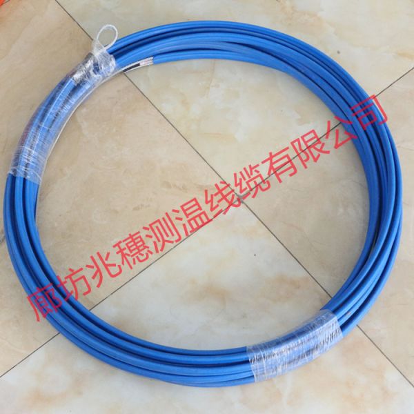 供應立筒倉可換芯鎧裝電纜